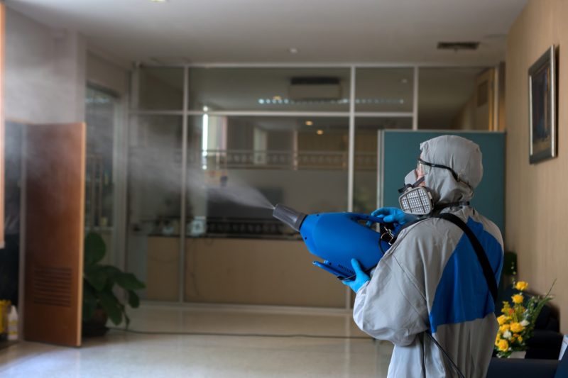 Mold Removal