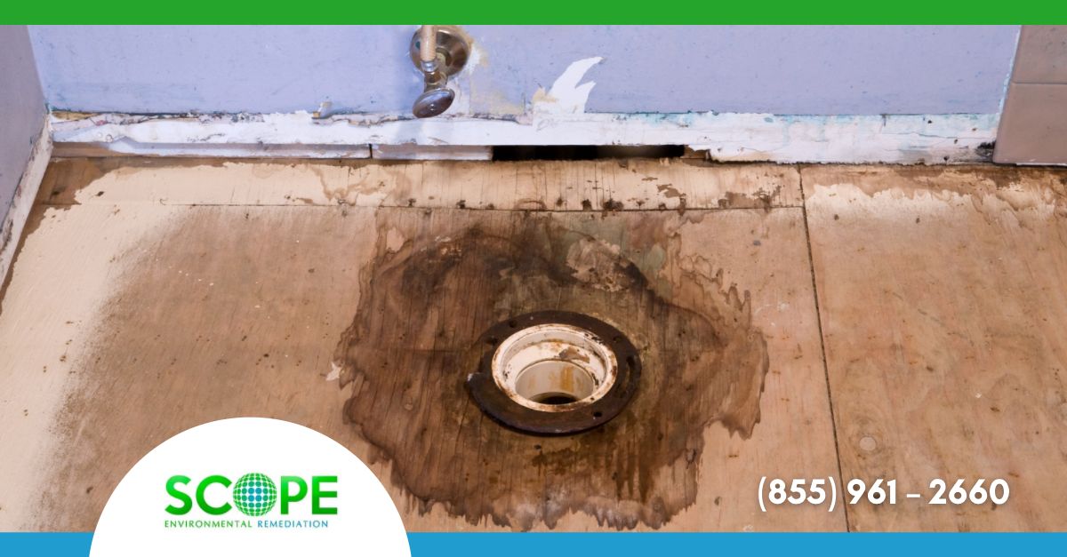 Water Damage Restoration in Los Angeles