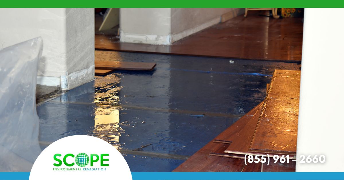 Water Damage Restoration Los Angeles