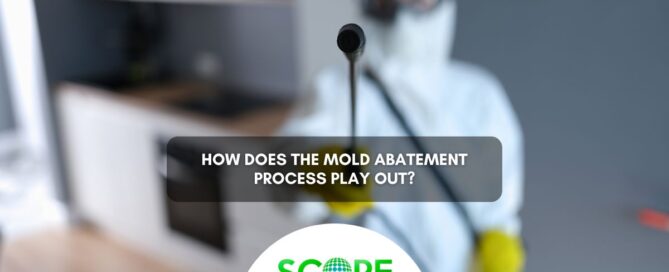 mold abatement