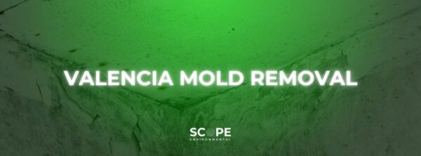 Valencia Mold Removal