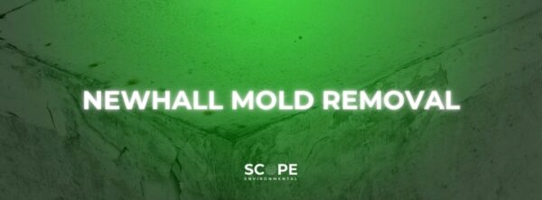 Newhall Mold Removal