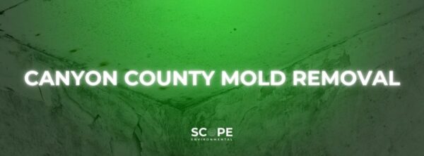 Canyon county mold removal