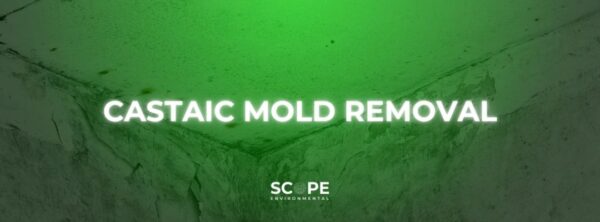 Castaic Mold Removal