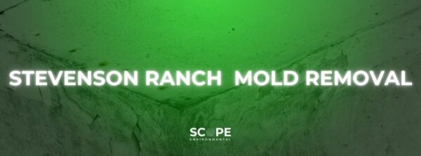 Stevenson Ranch Mold Removal