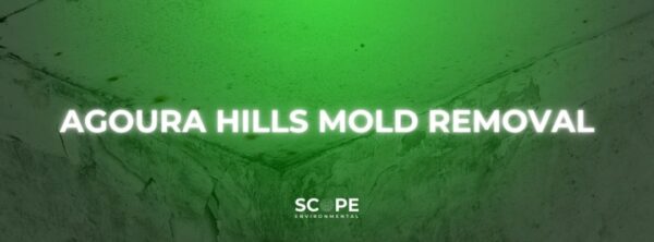 Agoura Hills Mold Removal