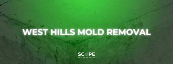 West Hills Mold Removal