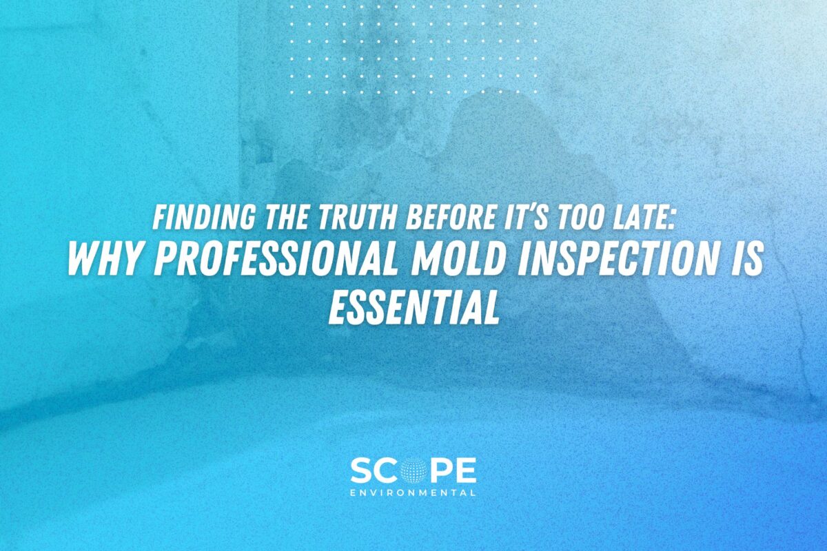 Mold Inspection Agoura Hills | Mold Removal Near Agoura Hills