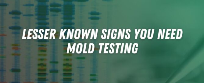 mold testing near Malibu