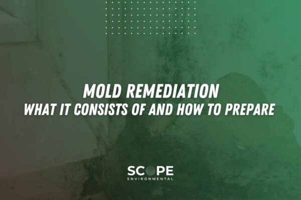 mold remediation Agoura Hills