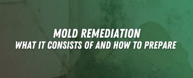 mold remediation Agoura Hills