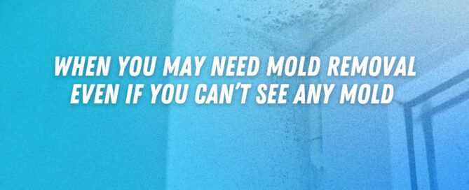 mold removal Santa Clarita