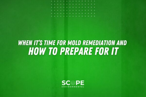 Mold Remediation Near Santa Clarita
