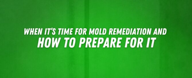 Mold Remediation Near Santa Clarita