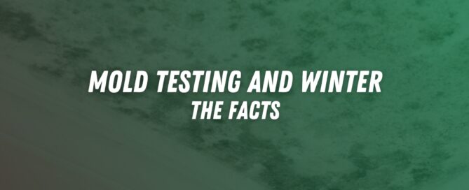 Mold Testing in Santa Clarita