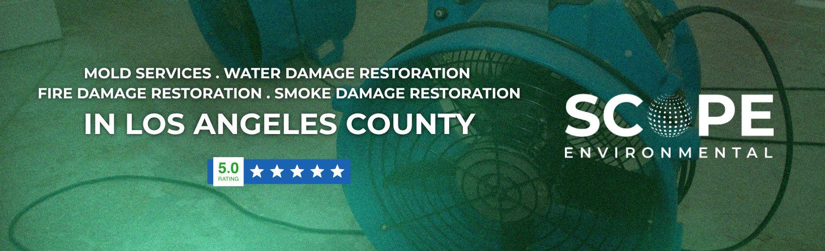 water damage restoration valencia water damage restoration valencia