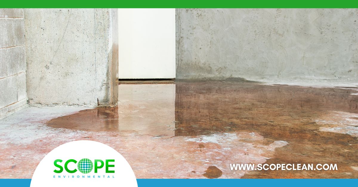 water damage restoration Santa Clarita