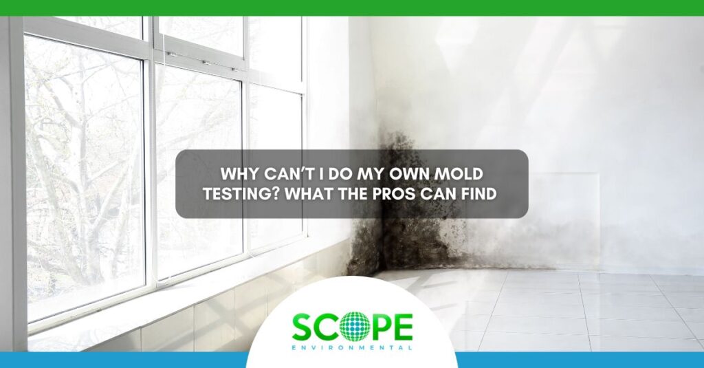 Why Can’t I Do My Own Mold Testing What the Pros Can Find 