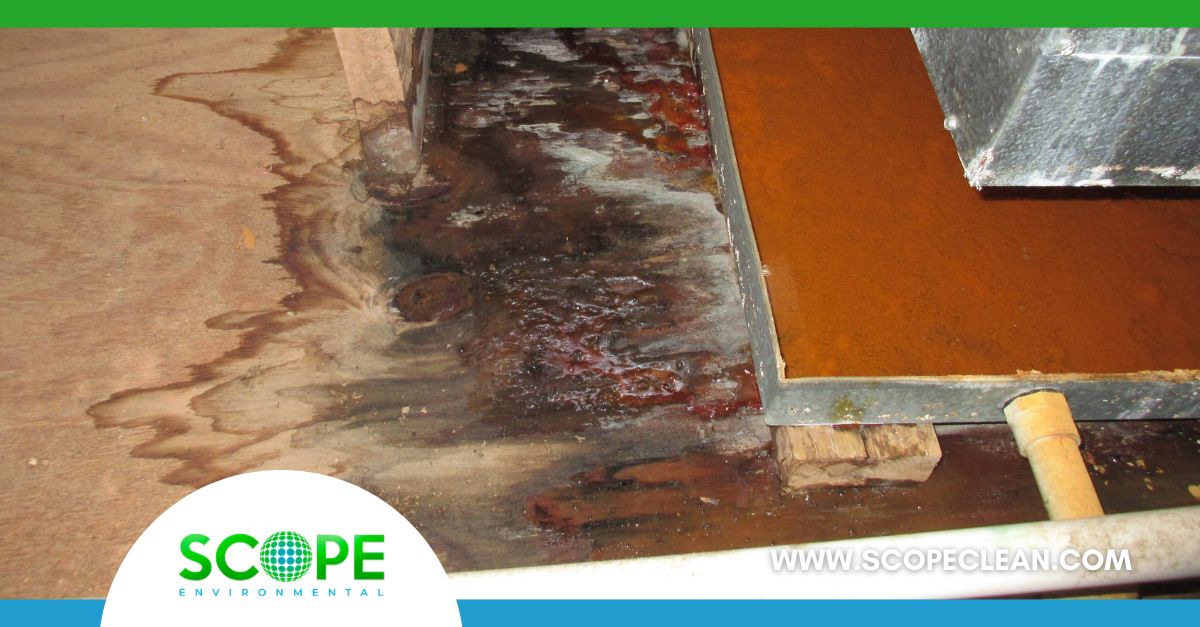 water damage restoration near Castaic