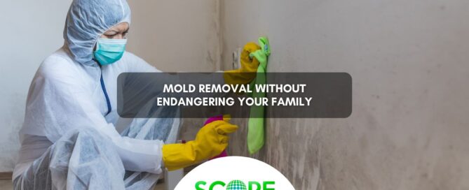 Mold Removal Without Endangering Your Family