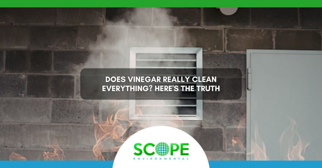 Does Vinegar Really Clean Everything Here's the Truth