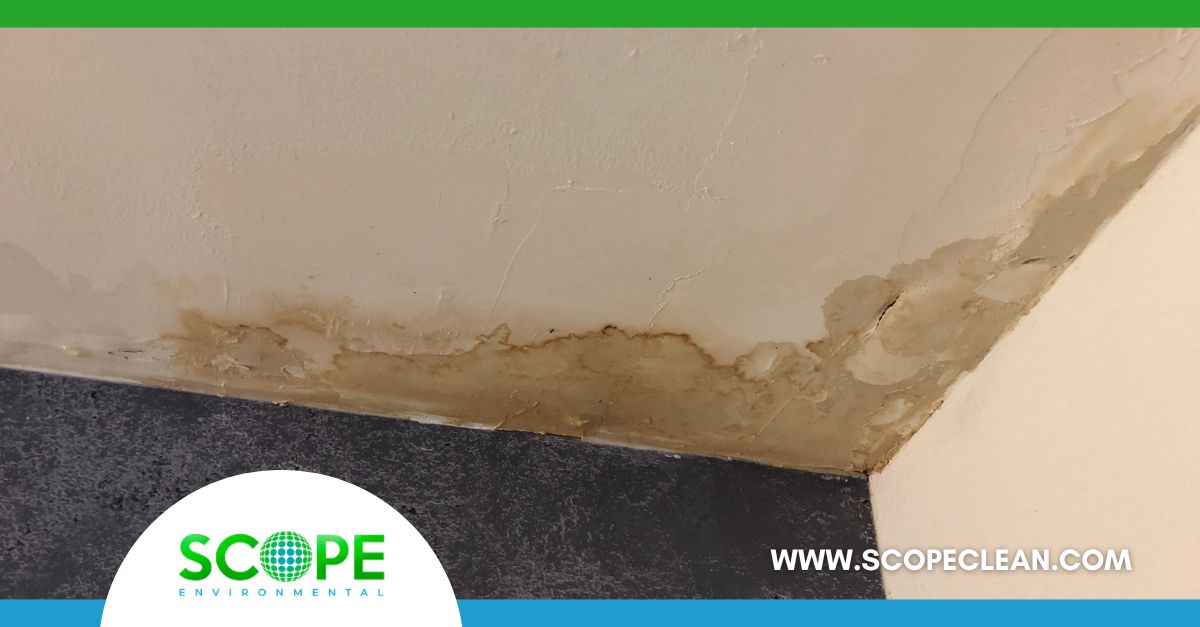 Roof leaks